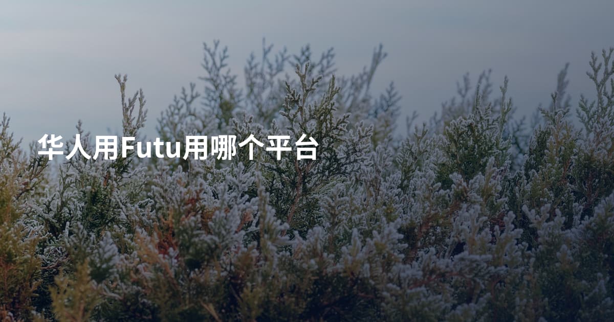 华人用Futu用哪个平台