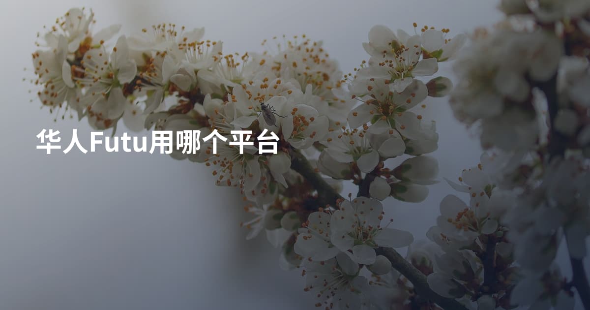 华人Futu用哪个平台