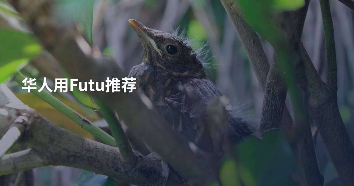华人用Futu推荐