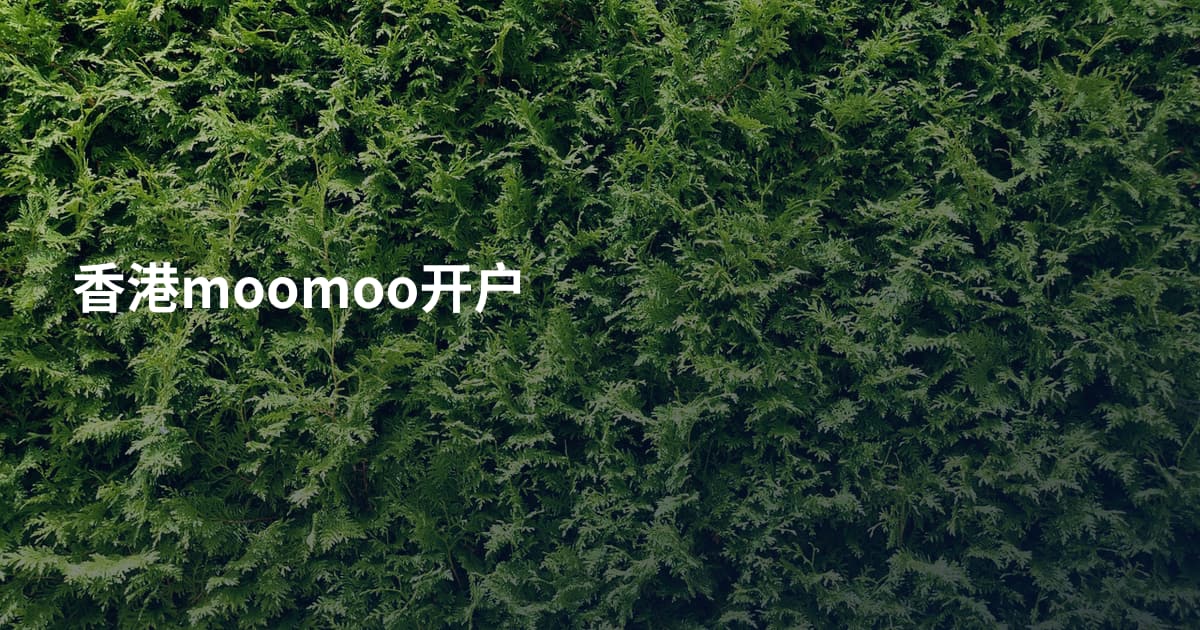 香港moomoo开户