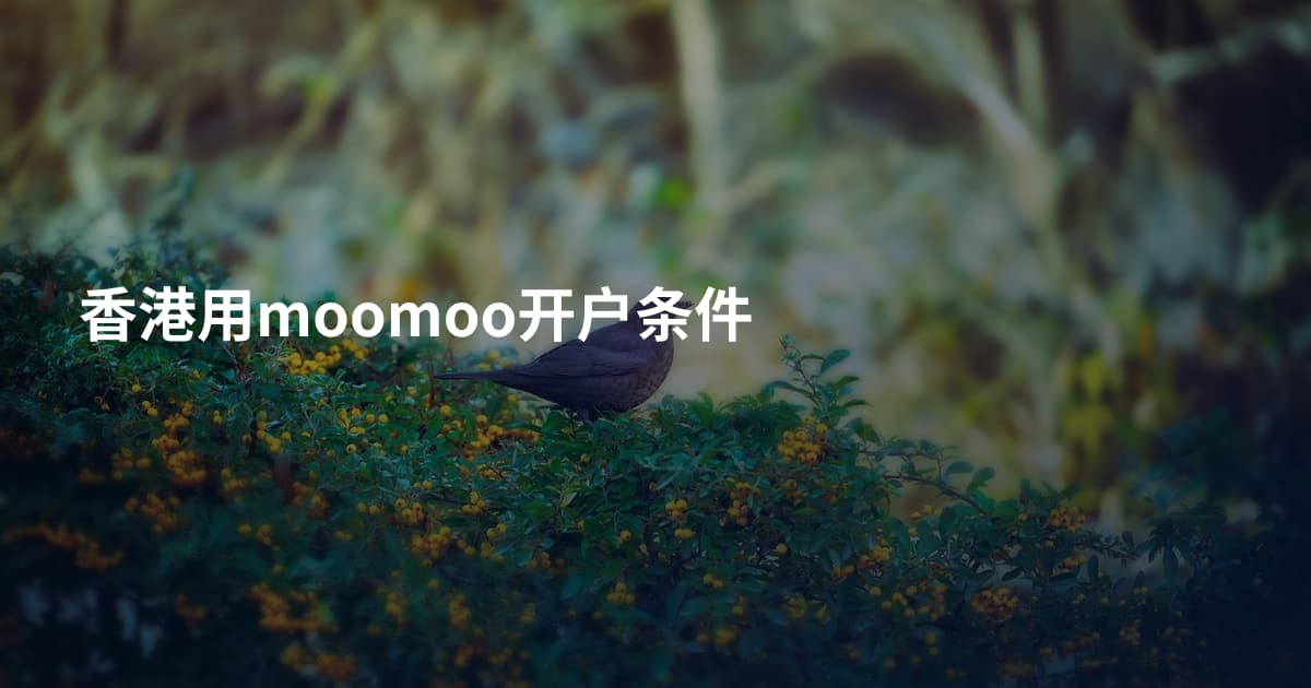 香港用moomoo开户条件