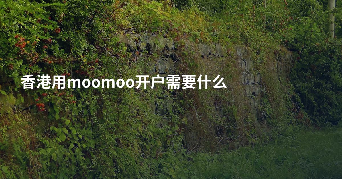 香港用moomoo开户需要什么