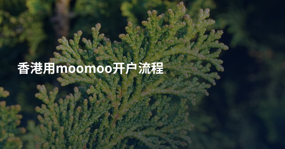香港用moomoo开户流程