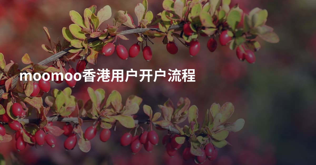 moomoo香港用户开户流程