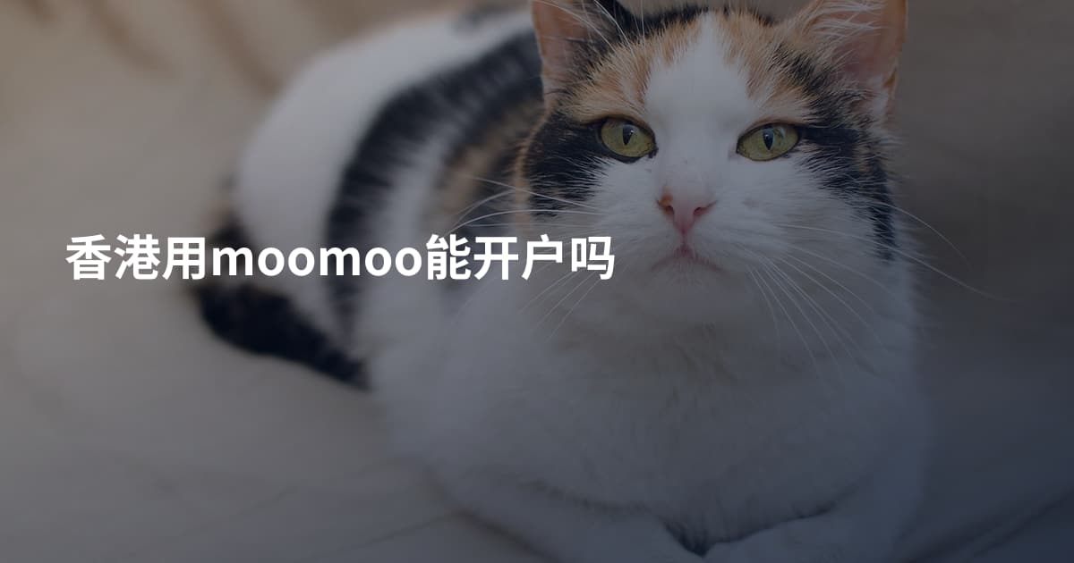 香港用moomoo能开户吗