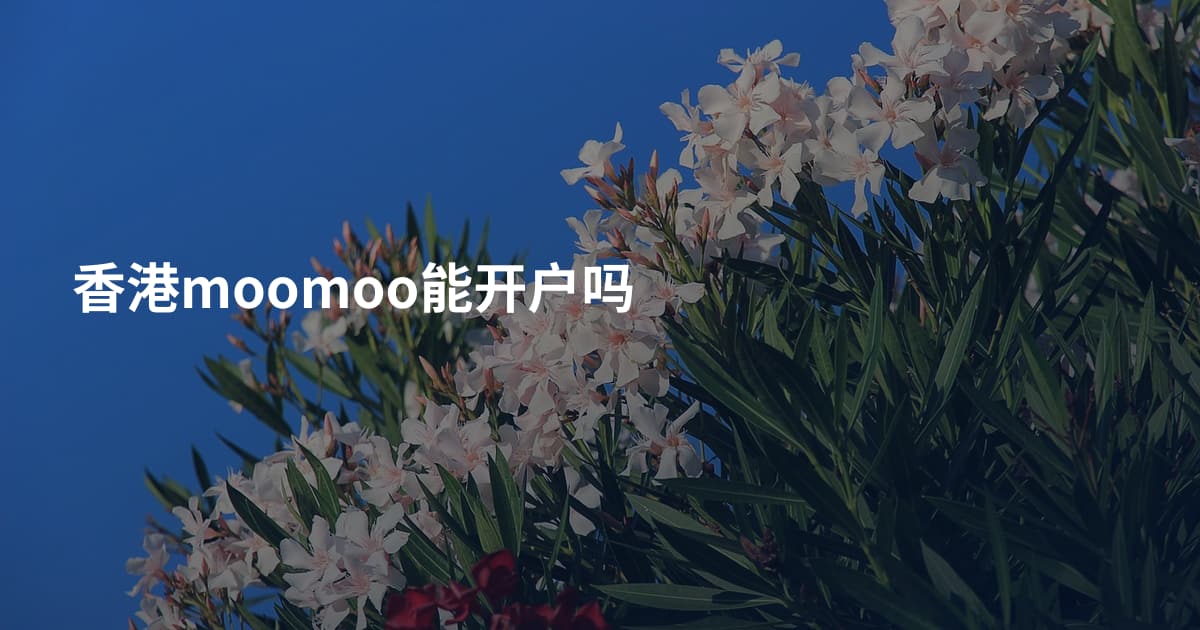 香港moomoo能开户吗