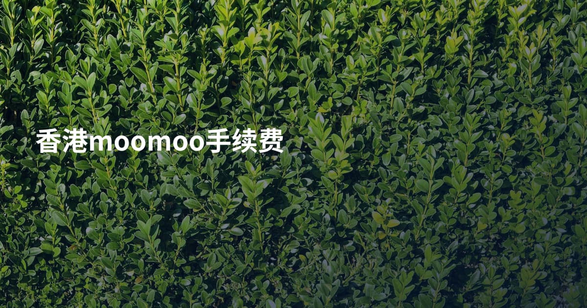 香港moomoo手续费