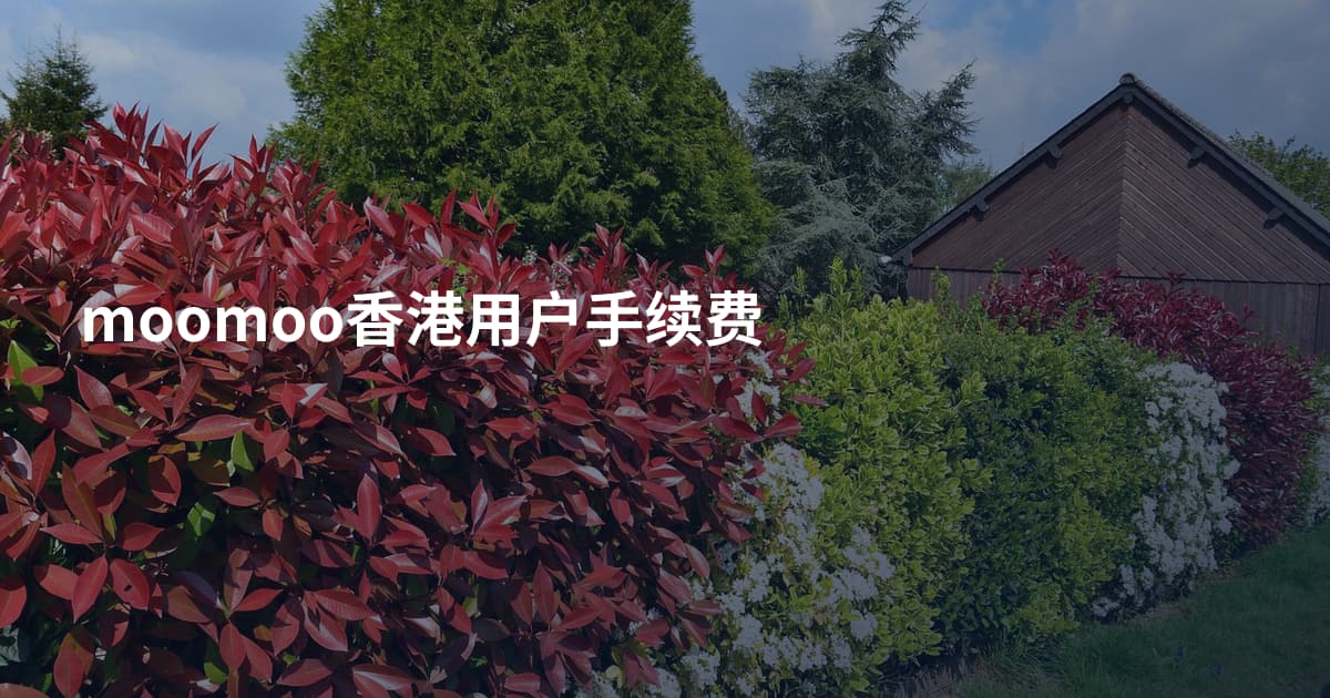 moomoo香港用户手续费