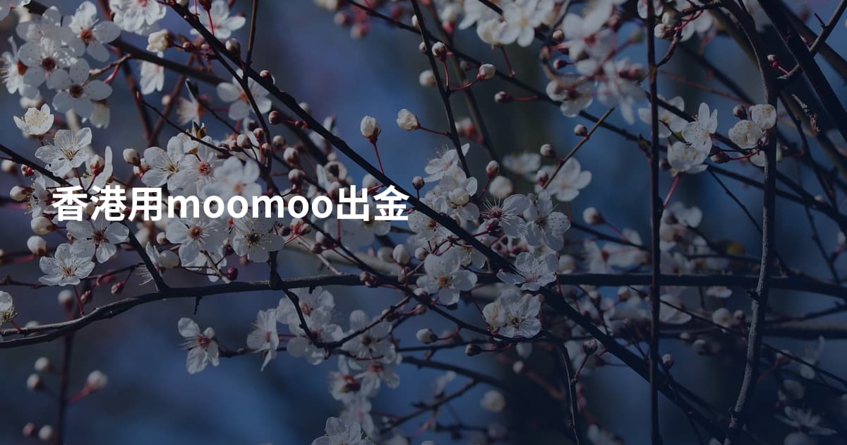 香港用moomoo出金