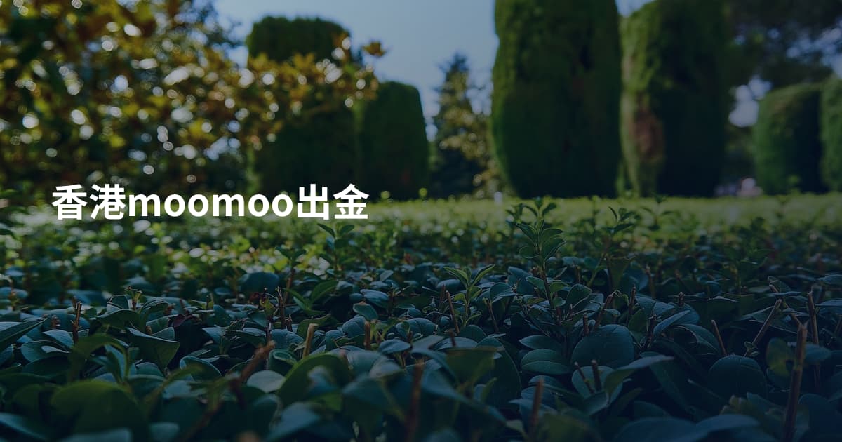 香港moomoo出金