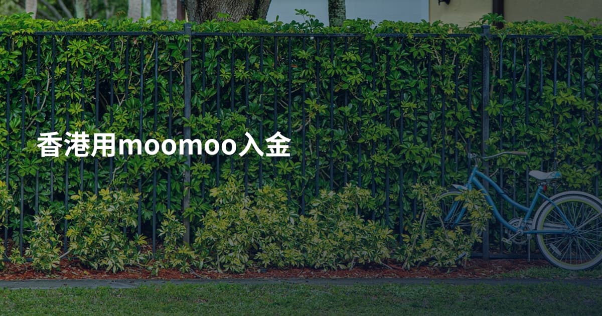 香港用moomoo入金
