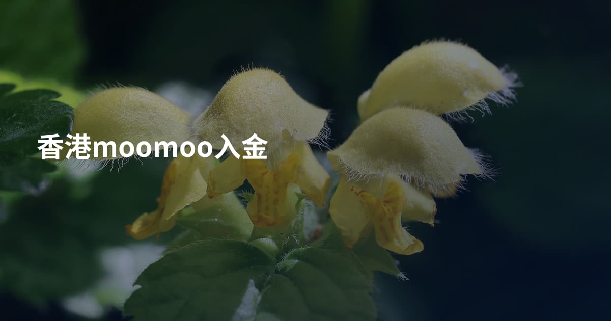 香港moomoo入金