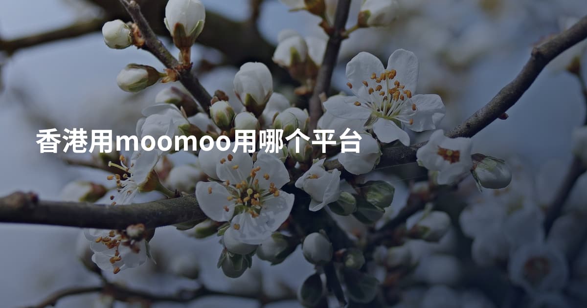香港用moomoo用哪个平台