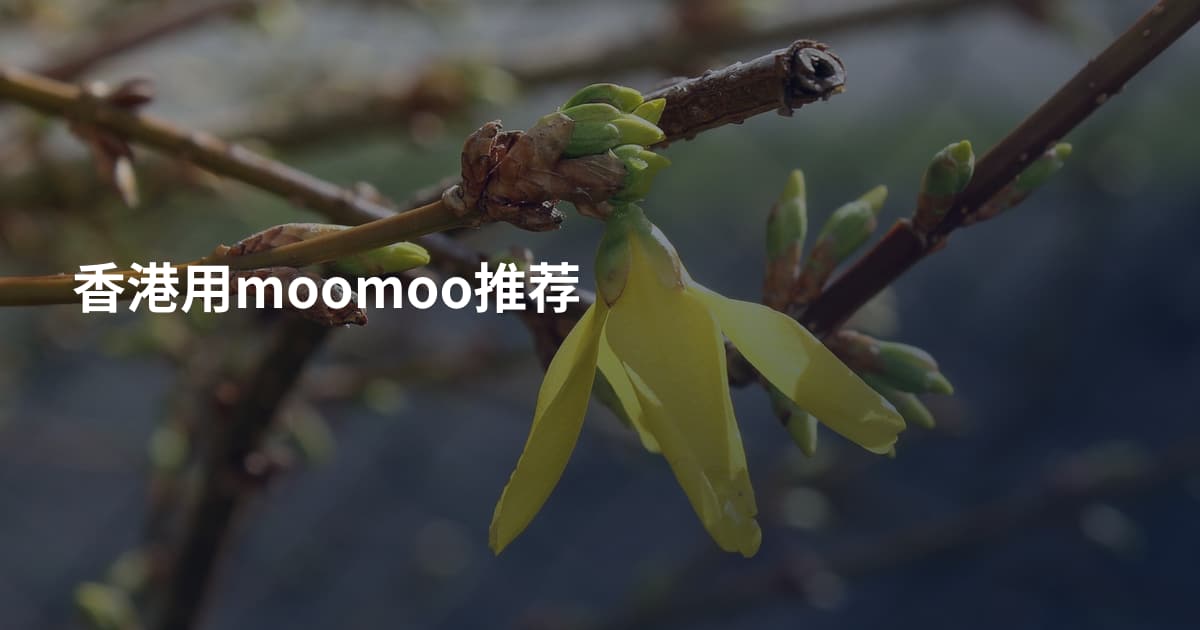 香港用moomoo推荐