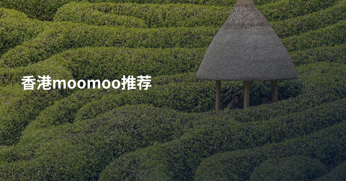 香港moomoo推荐