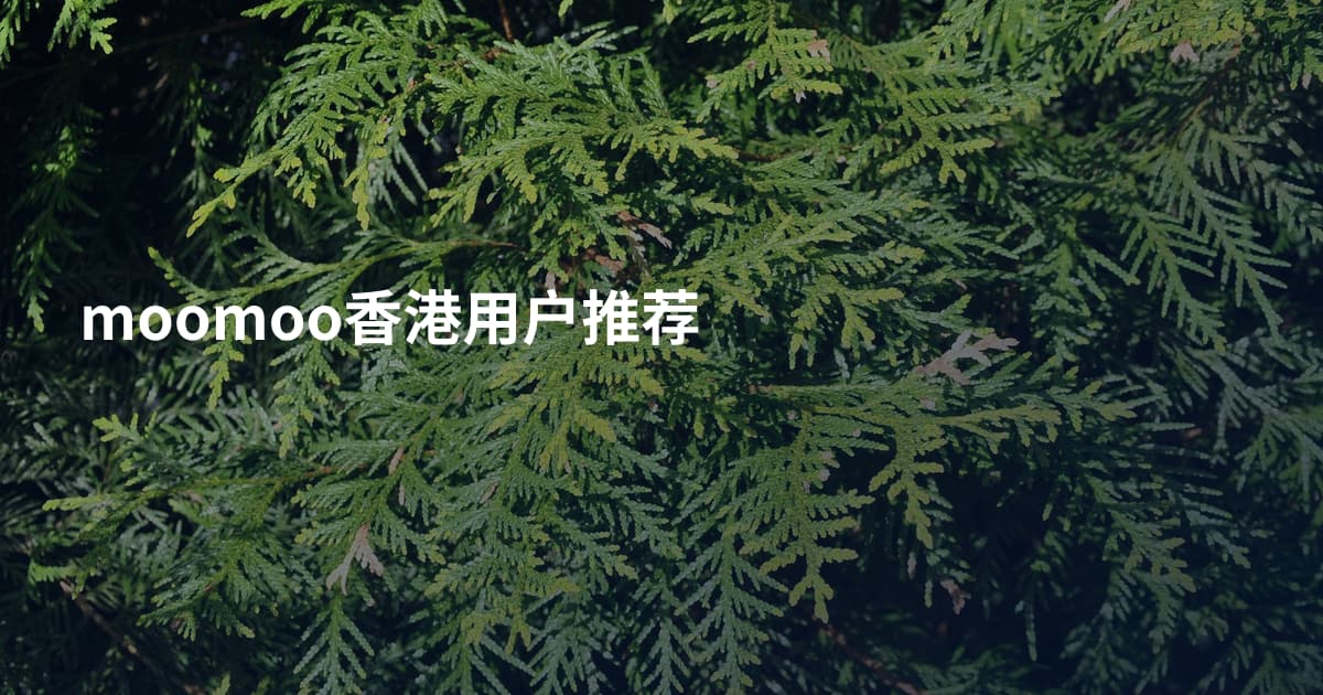 moomoo香港用户推荐