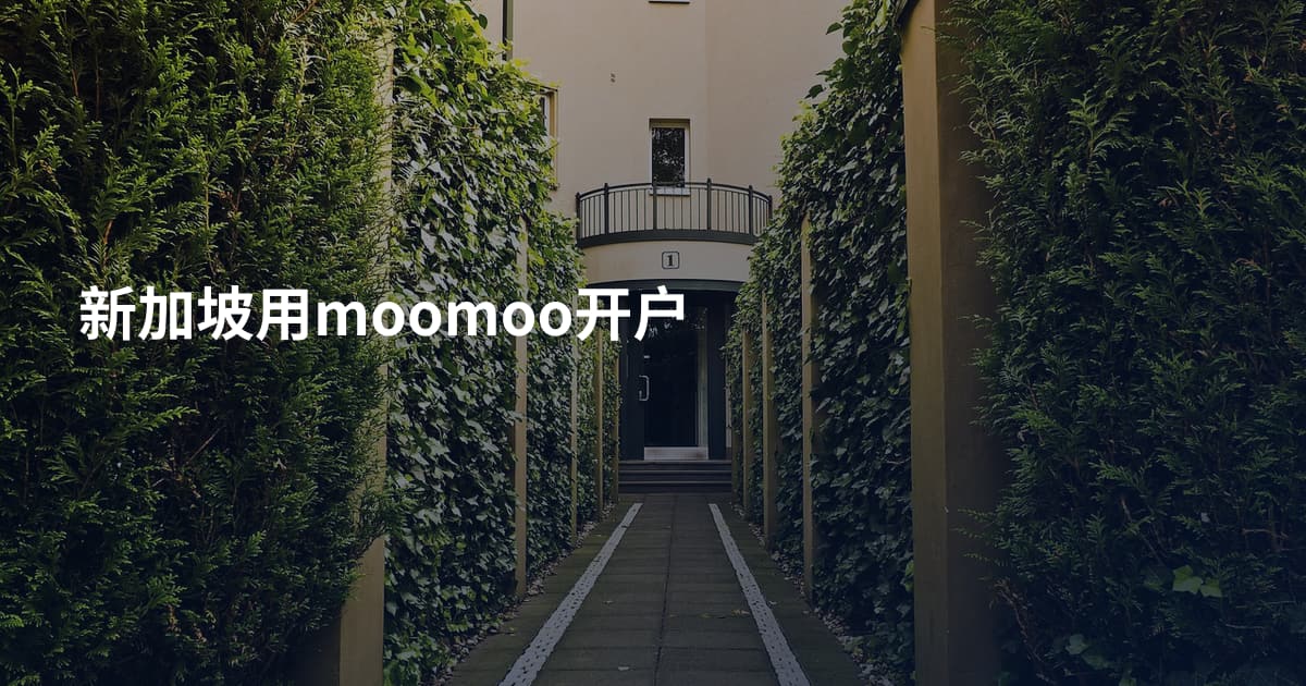 新加坡用moomoo开户