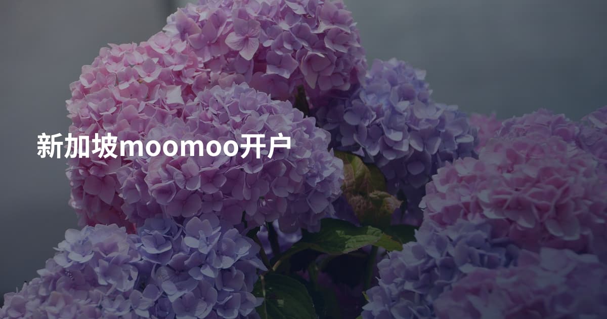 新加坡moomoo开户