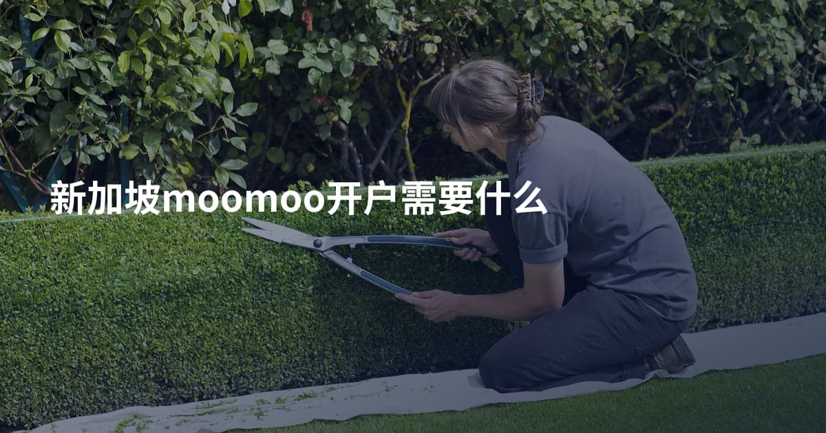 新加坡moomoo开户需要什么