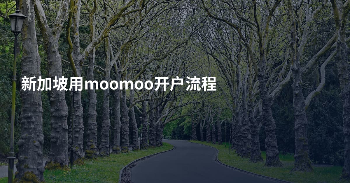 新加坡用moomoo开户流程