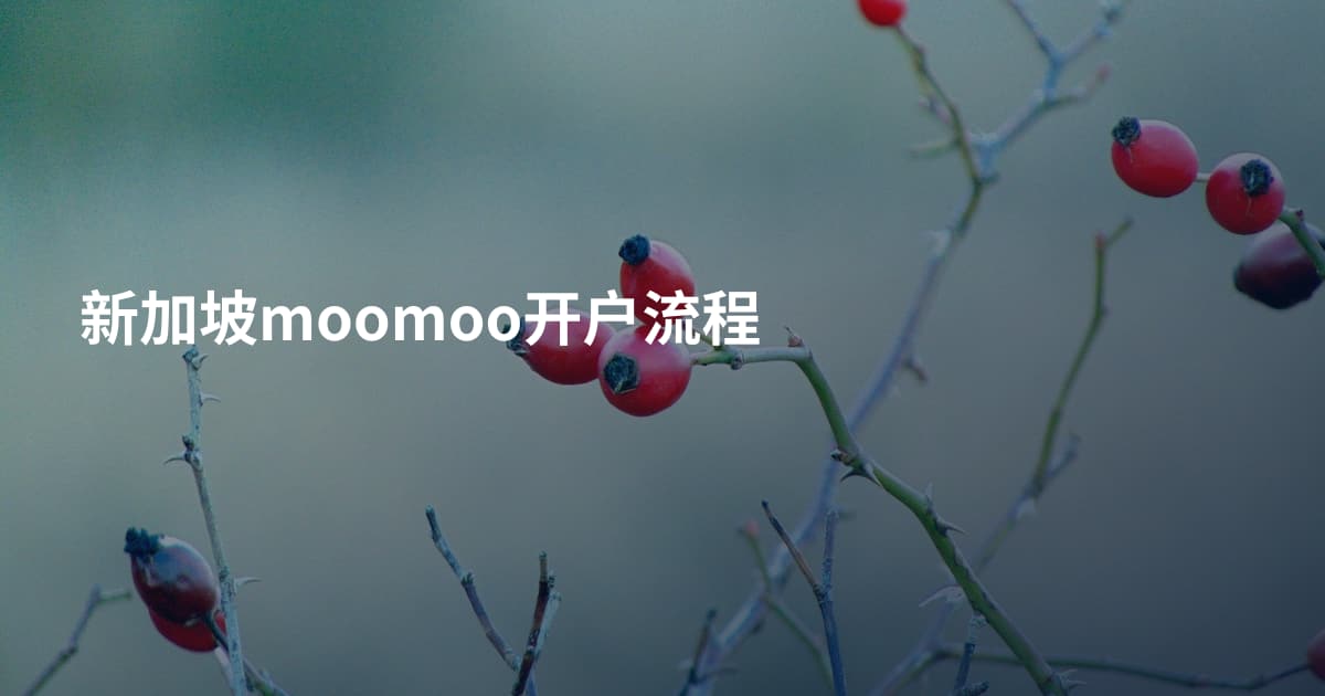 新加坡moomoo开户流程