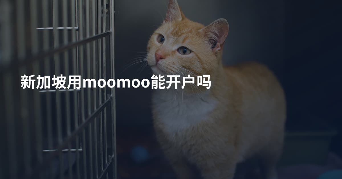 新加坡用moomoo能开户吗