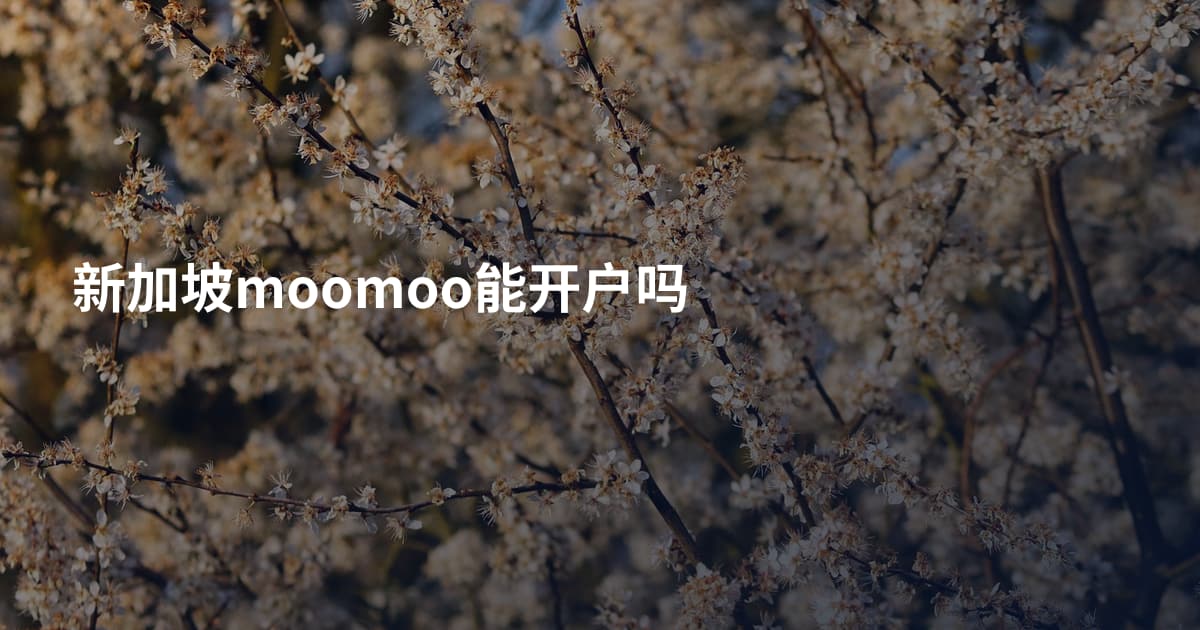 新加坡moomoo能开户吗
