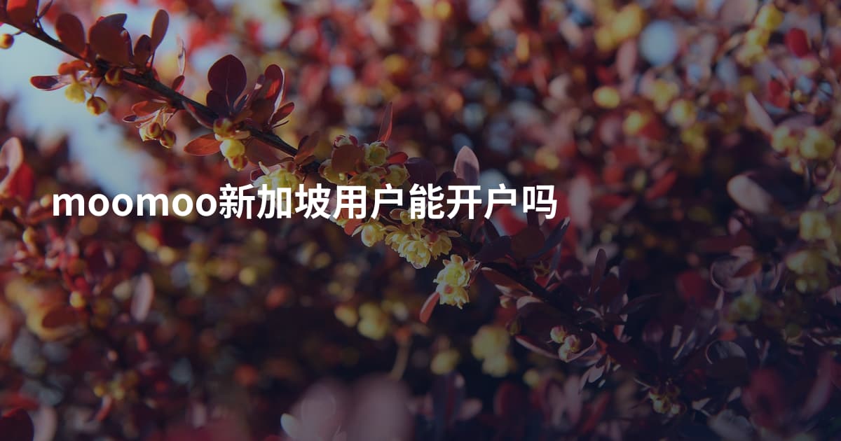 moomoo新加坡用户能开户吗