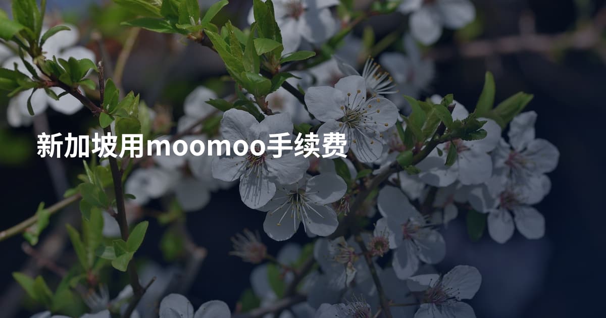 新加坡用moomoo手续费