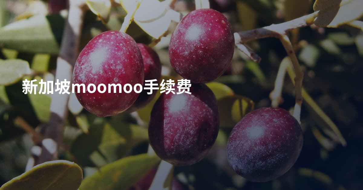 新加坡moomoo手续费