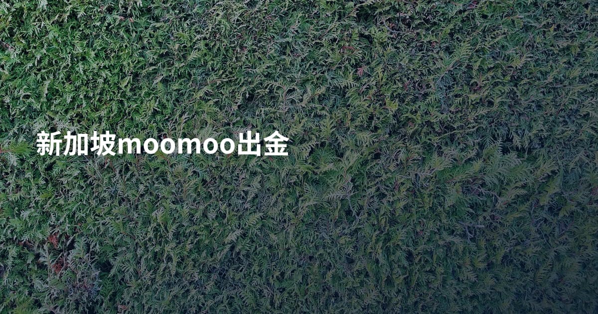 新加坡moomoo出金