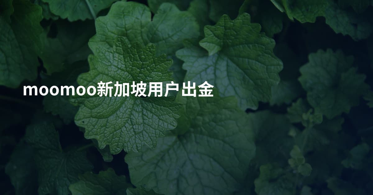 moomoo新加坡用户出金