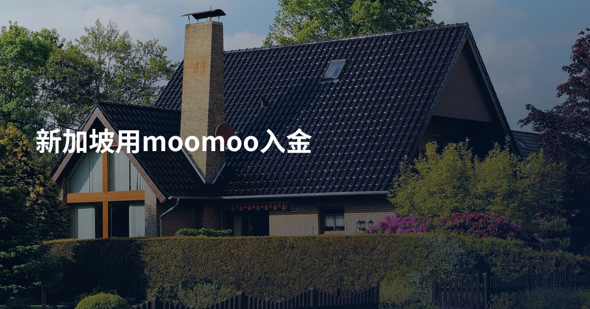 新加坡用moomoo入金