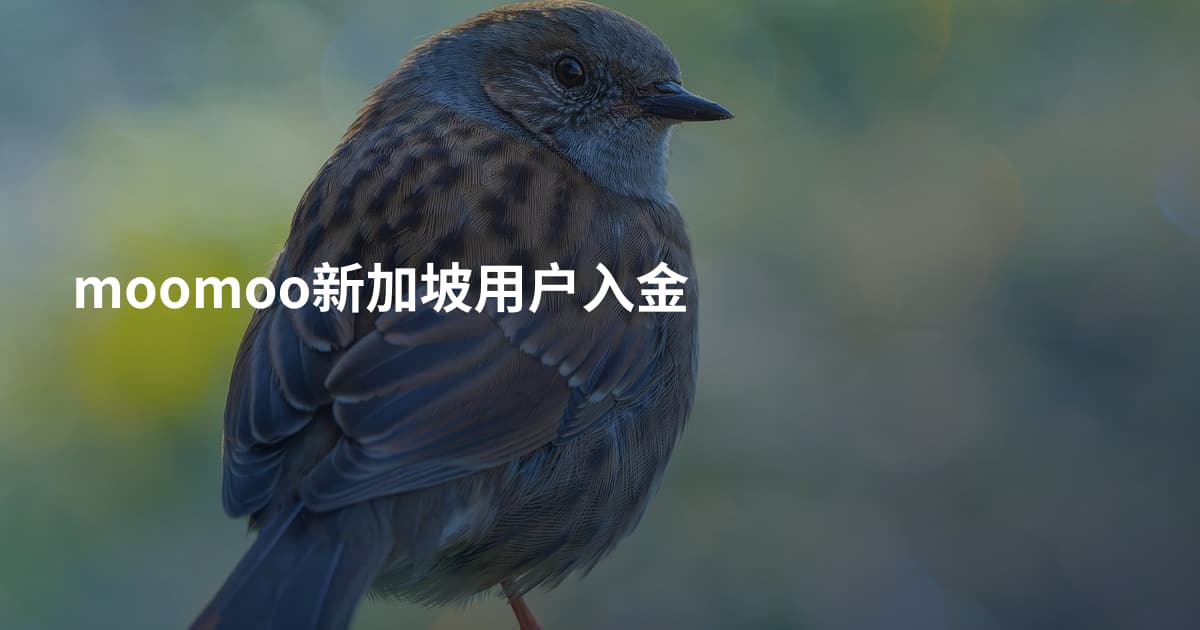 moomoo新加坡用户入金