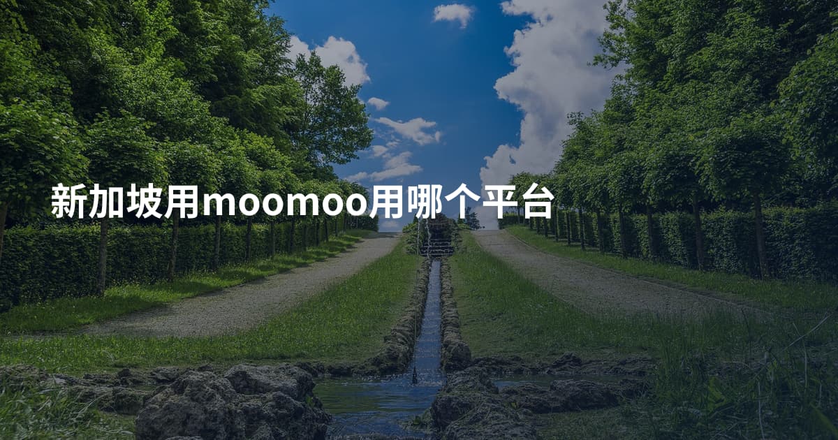 新加坡用moomoo用哪个平台