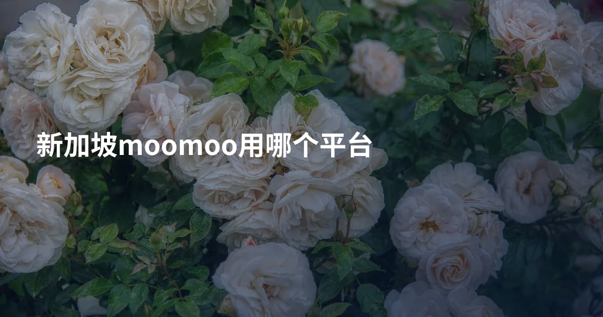 新加坡moomoo用哪个平台