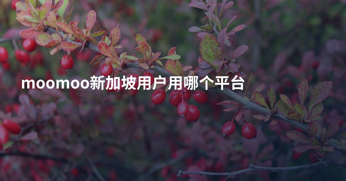 moomoo新加坡用户用哪个平台