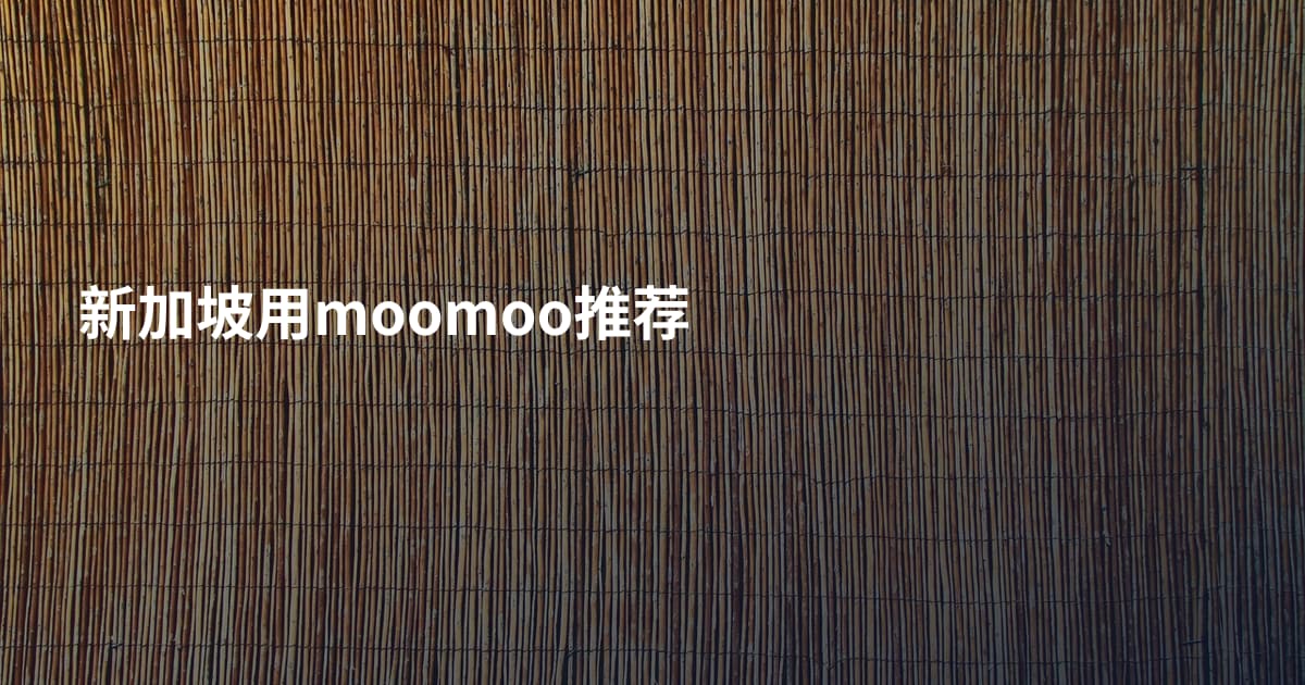 新加坡用moomoo推荐
