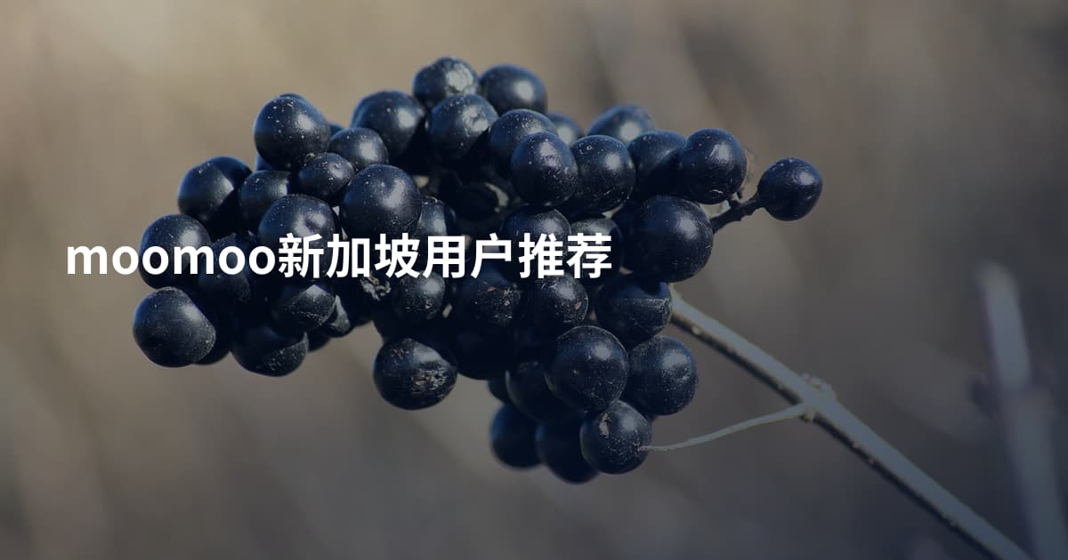 moomoo新加坡用户推荐