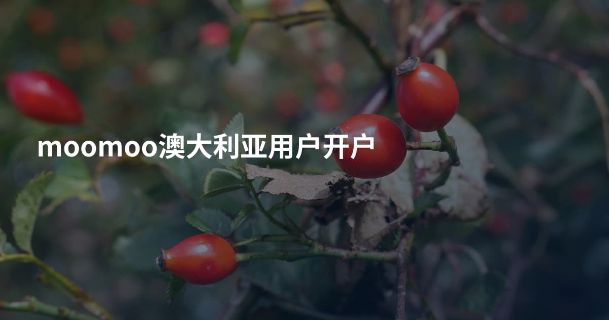 moomoo澳大利亚用户开户