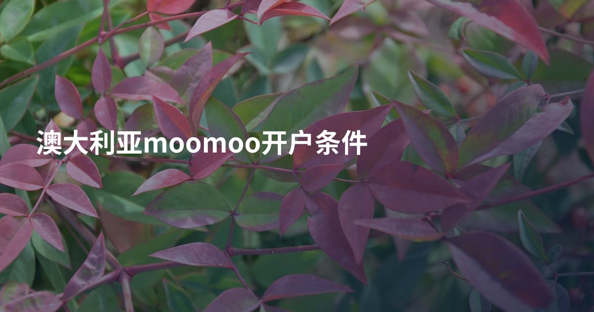 澳大利亚moomoo开户条件