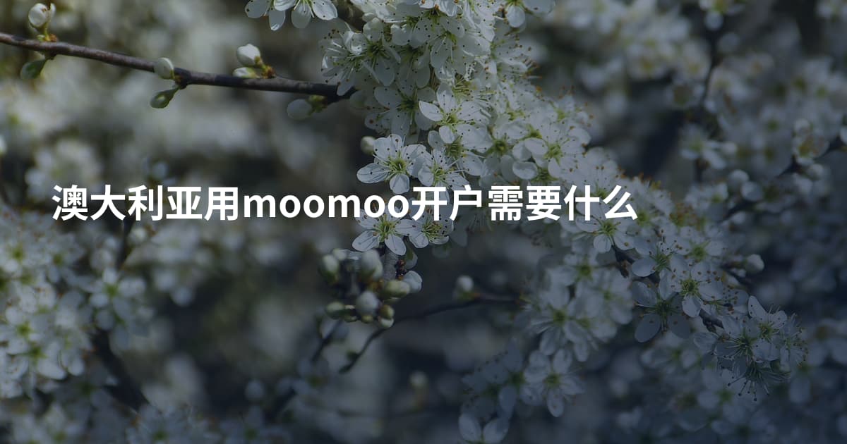 澳大利亚用moomoo开户需要什么