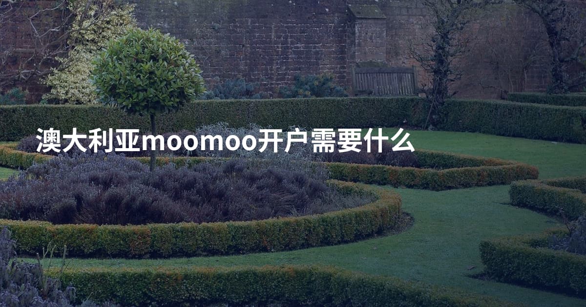 澳大利亚moomoo开户需要什么