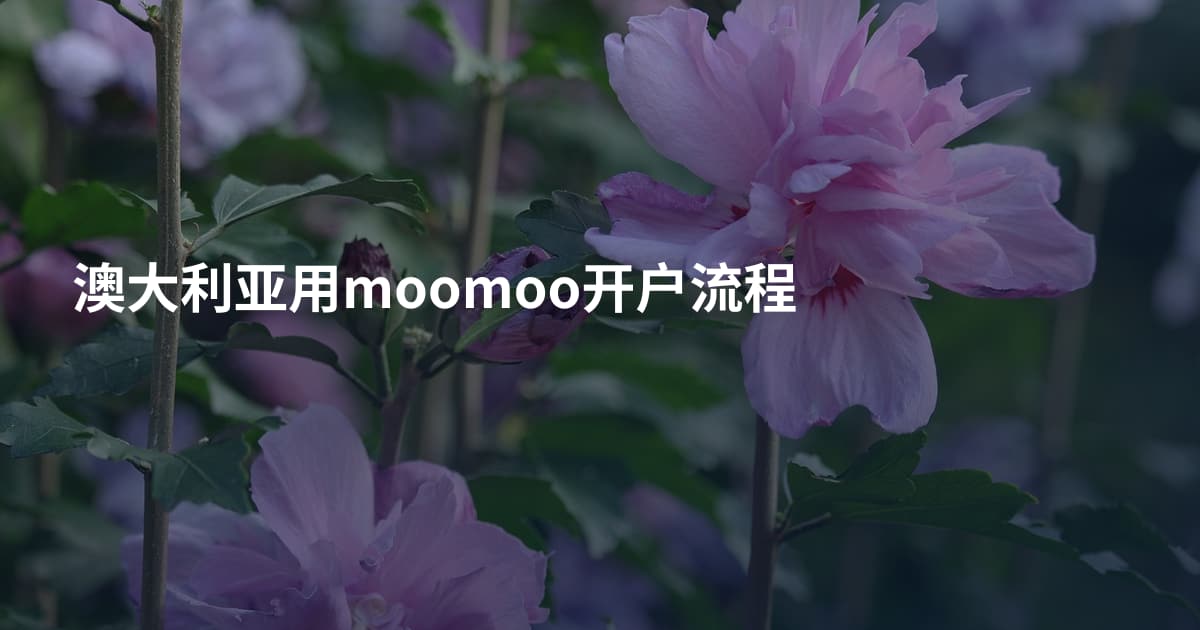 澳大利亚用moomoo开户流程