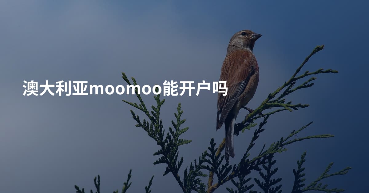 澳大利亚moomoo能开户吗