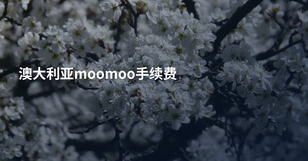 澳大利亚moomoo手续费