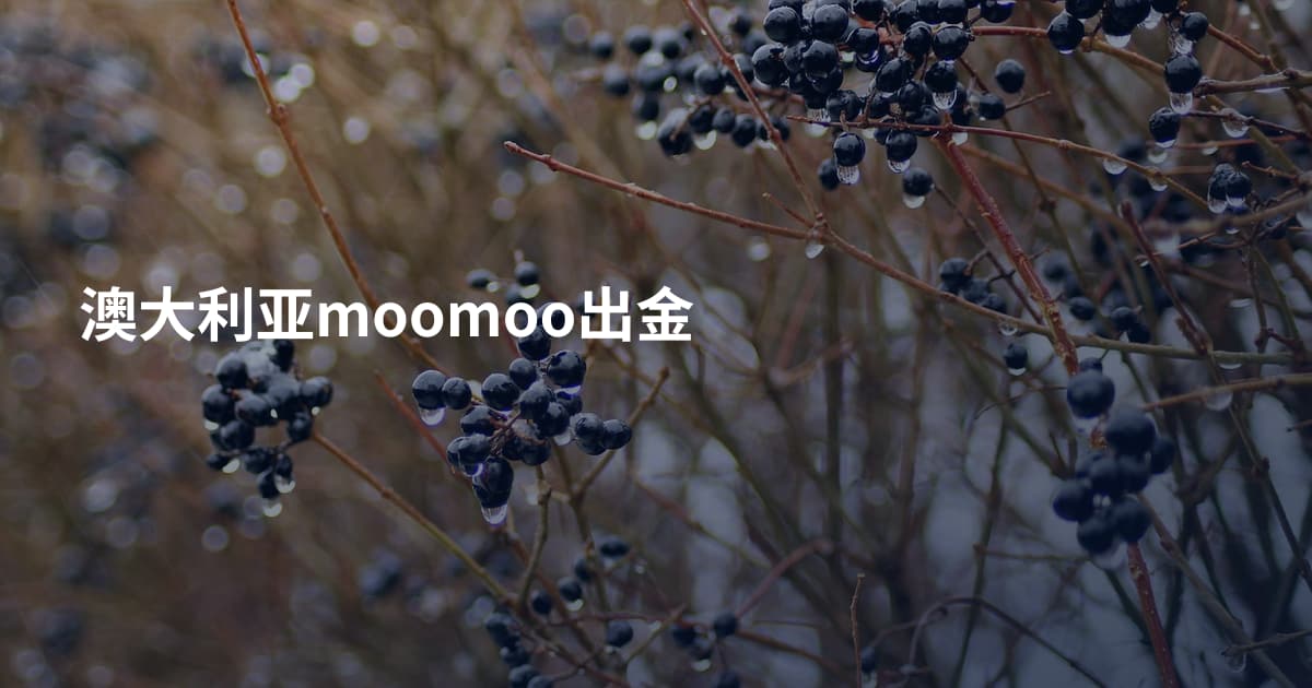 澳大利亚moomoo出金