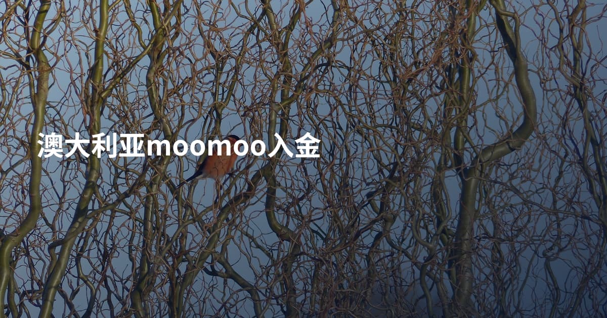 澳大利亚moomoo入金