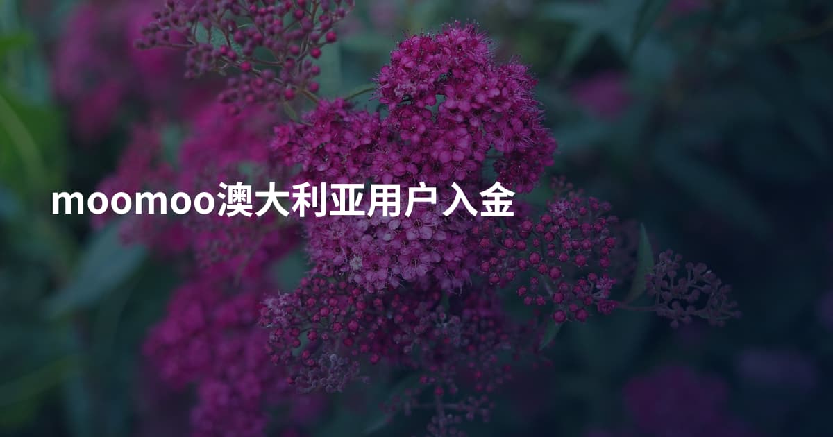 moomoo澳大利亚用户入金