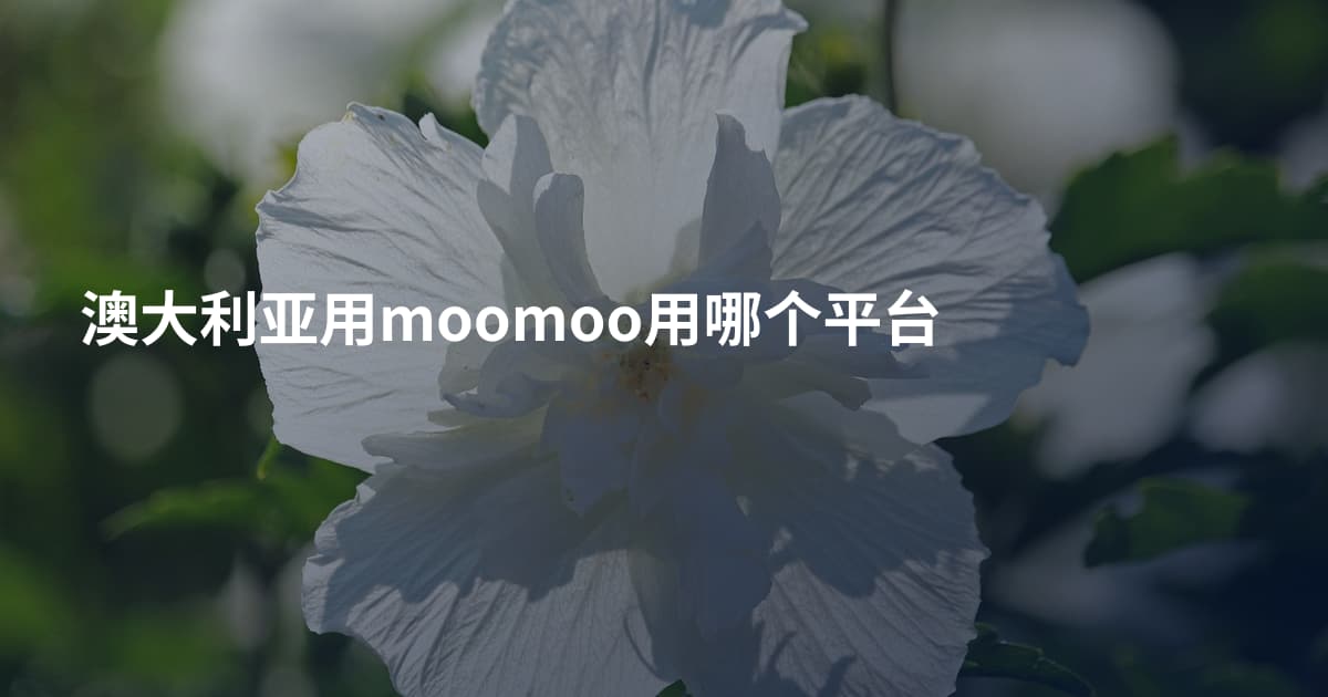 澳大利亚用moomoo用哪个平台